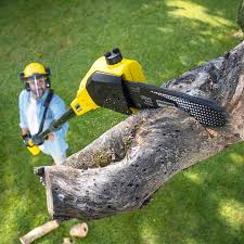 Soil Testing and Treatment in Woodward, IA