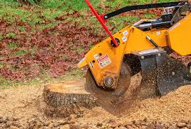 Lawn Maintenance Plans in Woodward, IA